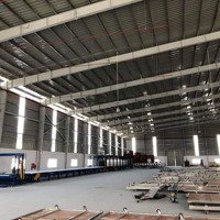 Cho Thuê 5000M2 Xưởng Mới Bến Cát, Giá: 68.46Ng/M2, Đường Cont, Sx Đa Nghành Nghề