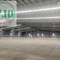 Cho thuê nhà xưởng mới xây DT 24.000m2, 2 xưởng 8.000m2 KCN Thuận Đạo mở rộng.Long An.