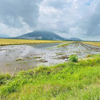 Bán 24 Công Ruộng Tại Cô Tô, Tri Tôn, An Giang