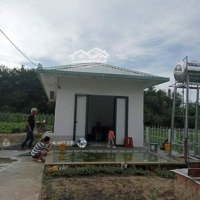 Chính Chủ Ngộp Bán Gấp Nhà Vườn Đường Nhựa 12M, Diện Tích: 2150M2, Xã Thái Mỹ, Củ Chi.