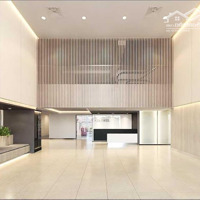 Cho Thuê Vp Hạng B Diện Tích Nhỏ Tại Zen Plaza, Nguyễn Trãi, Quận 1,Diện Tích32-58M2, Được Free 2 Tháng