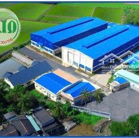 Cho Thuê Kho Xưởng Diện Tích 4.428 M2 Tại Thị Xã Gò Công, Tiền Giang.