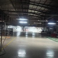 Nhà Xưởng Cho Thuê Đường Dương Thị Mười , Tân Chánh Hiệp , Quận 12 , Dt: 3,200M2