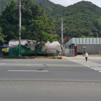 Đấtdiện Tíchlớn, Mặt Tiền Nguyễn Tất Thành, Phước Đồng, Nha Trang. Hơn 2,2Ha, Có 400M2 Thổ. Chỉ 2. 7 Triệu/M2