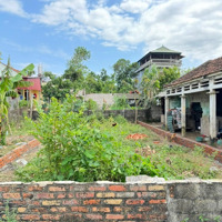 Bán Đất Hợp Châu, Tam Đảo, Vĩnh Phúc. Mặt Nhựa Kinh Doanh, View Đồng,Diện Tích81M, Giá Bán 1,5 Tỷ.