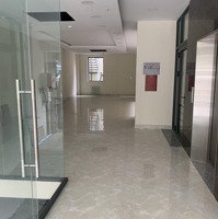 Siêu Ngộp Bán Gấp, Mặt Tiền Trần Não Dt: 8X70M, Công Nhận 550M2, Xây Được Building, Giá: 105 Tỷ