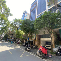 Bán Toà Building 8 Tầng Mặt Phố Trần Quang Diệu,Có Vỉa Hè,Đường Ô Tô Tránh, Gara Rộng Rãi.