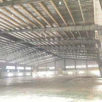 Cho Thuê Kho -Diện Tíchkho 8.000M2/ Tổng 16.000M2 - Pccc Tự Động Theo Tiêu Chuẩn