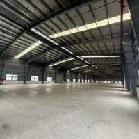 Cho Thuê Kho -Diện Tíchkho 8.000M2/ Tổng 16.000M2 - Pccc Tự Động Theo Tiêu Chuẩn