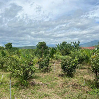 Chính Chủ Cần Bán Đất Nhanh (Nha Trang)