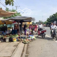 Cần Bán Đất Tại Tánh Linh, Bình Thuận, Kế Bên Trạm Y Tế Xã Gia Huynh, Shr, 120M2