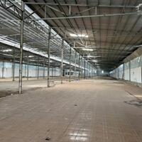 Cho thuê kho xưởng 8.000m² có PCCC và điện 3 pha, mặt tiền đường Quốc Lộ 1A, T. Hậu Giang, lộ Container, thuê 40.000đ/ m²/ tháng (buông thuế)