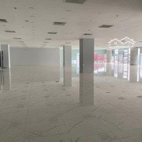 Cho Thuê Nhiều Loại Diện Tích: 25 - 60 - 90 - 200 - 300M2, Giá Cạnh Tranh Nhất Đường Lê Hồng Phong