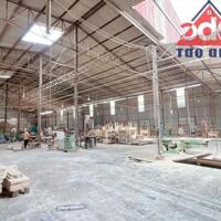 Bán nhà xưởng phường Tân Hòa, Biên Hòa, Đồng Nai, 5100m2, giá 30 tỷ