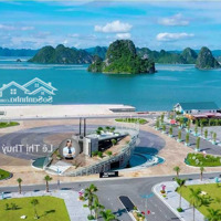 Bán Lô Đất Nền Biệt Thự Không Xây Mặt Đường 32M Da Phương Đông Vân Đồn- Sẵn Sổ Giá Rẻ