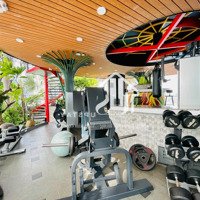 Căn Hộ Cao Cấp - Dịch Vụ Đạt Chuẩn - Hồ Bơi + Gym ( Free )