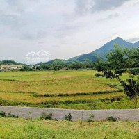 Bán Khu Nghỉ Dưỡng Homestay Tại Minh Quang, Ba Vì, Hn Đã Xây Dựng, Sẵn Kinh Doanh Cho Thu Nhập Cao