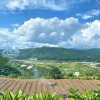 Cho Thuê 1.2 Hecta ( 12.000M2 ) Đất View Đẹp Mimosa Phường 10 Đà Lạt