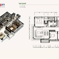 Bán Gấp Xuất Ngoại Giao 145M2, 3 Phòng Ngủ Tại Splendora. Giá Tốt. Liên Hệ: 0975226586 Xem Nhà 24/24