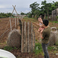 Hiếm Có! Chủ Bán 9,5 M Đg Bình Giã, Tt Phước Bửu ( Diện Tích: 847M) - Đầu Tư Hoặc Xây Nhà + Sân Vườn Rộng