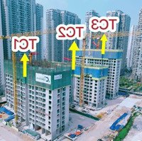 Chính Chủ Bán Căn Góc 3N2Vs 81M2 Toà Canopy Tại Vinhomes Smart City