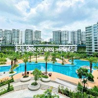 Em Trường Ái Cập Nhật Rổ Hàng Chủ Đầu Tư - Căn Hộ Diamond Centery Tại Celadon City.