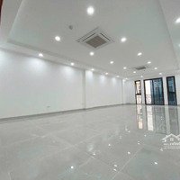 Bán Gấp Mặt Phố Nguyễn Hoàng, 70M2, 8 Tầng, Mặt Tiền 5M, Toà Nhà Phố 8 Tầng Thang Máy- Giá Bán 43,8 Tỷ