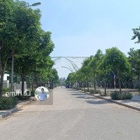 Siêu Đẹp, Biệt Thự V.01 Lô Góc View Công Viên, Khu D Dương Nội, Hà Đông, Chỉ 31 Tỷ.