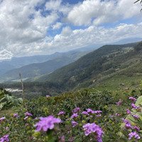 Lô Đất View Siêu Đẹp - 5000M Gần Quốc Lộ - Xuân Trường - Cầu Đất