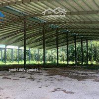 Bán Đất Nhà Xưởng 12.900M2 , Đất Skc Huyện Bàu Bàng, Tỉnh Bình Dương Giá Bán 54 Tỷ