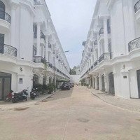 Mai Anh Luxury - Phố Thương Mại Đẳng Cấp Tại Thành Phố Tây Ninh