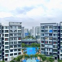 Cập Nhật Rổ Hàng Cho Thuê T9/2024 Căn Hộ Diamond Khu Đô Thị Celadon City