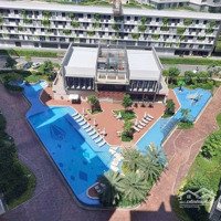 Cập Nhật Rổ Hàng Cho Thuê T9/2024 Căn Hộ Diamond Khu Đô Thị Celadon City