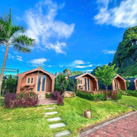 Chính Chủ Cần Chuyển Nhượng Resort Tại Bố Trạch - Quảng Bình Gần Biển Quy Mô Rộng Lớn