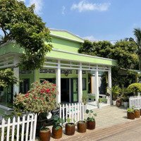 Chính Chủ Cần Sang Homestay Ở Cồn Phụng, Đang Hoạt Động Tốt, Khách Ổn Định Tặng Kèm Vườn Bưởi