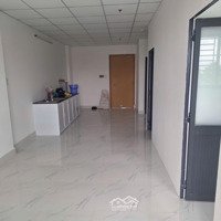 Cho Thuê Căn Hộ Chung Cư Chính Chủ - Mới (Chưa Qua Sử Dụng) 62M2, Miễn Phí Phí Vận Hành 1 Năm