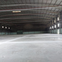 Nhà Xưởng Cho Thuê - Kcn Thái Hòa, Đức Hòa, Long An - 5000M2