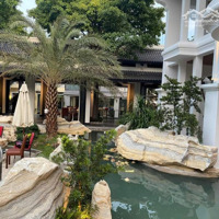 Bán Xp Garden Cafe Tại 476 Dương Quảng Hàm, Gò Vấp, Dt: 50 X 100M, (Dt Cn: 5523M2), Giá: 370 Tỷ