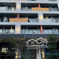 Bán Tòa Building Đẳng Cấpmặt Tiềnhồ Xuân Hương.q3(14X20) Hầm 8 Tầng Giá Bán 220 Tỷ