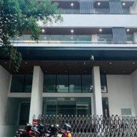 Bán Tòa Building Đẳng Cấpmặt Tiềnhồ Xuân Hương.q3(14X20) Hầm 8 Tầng Giá Bán 220 Tỷ