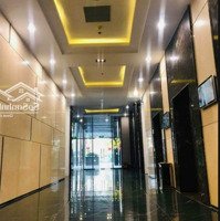 Chính Chủ Bán: 4.3 Tỷ, 110M2 Full Đồ - Mới 100%, Hợp Vc Trẻ Ở Luôn Xuân Mai Dương Nội, Hà Đông