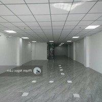 Ngang Khủng 15X20M Hầm 4 Tầng Mặt Tiền Đường Phổ Quang, Quận Tân Bình, Hđt 150 Triệu/Th - Giá Bán 55 Tỷ