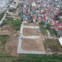 Bán 71.7M2 Đất Đấu Giá Sáp Mai, Võng La