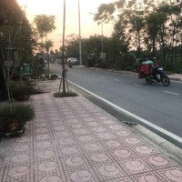 Bán Đất Đồng Tháp Trục Chính Liên Xã Diện Tích: 100M2, Giá 65 Triệu/M