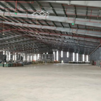 Cho Thuê Kho Xưởng Cảng Khuyến Lương, 1000 - 10.000M2, Có Pccc, Xuất Vat, Mới 100%, Trần Cao 13M