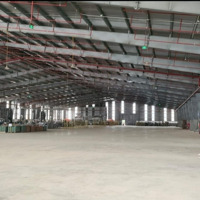 Cho Thuê Kho Xưởng Cảng Khuyến Lương, 1000 - 10.000M2, Có Pccc, Xuất Vat, Mới 100%, Trần Cao 13M