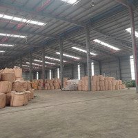 Cho Thuê Từ 1000 - 20.000 M2 Kho Xưởng Kcn Sài Đồng, Kho Mới, Pccc Tự Động, 90Nghìn/M2/Th