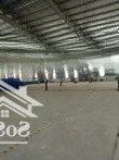 1000 - 20.000M2 Kho Xưởng Mới, Ccn Hà Mãn - Thuận Thành, Pccc Tự Động, Cầu Trục, 60Nghìn/M2/Th