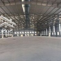 Cho Thuê Từ 500-10.000M2 Kho Xưởng Ccn Lai Xá, Mới 100%, Pccc Chuẩn Sàn Epoxy, 80Nghìn/M2/Th