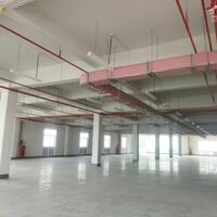 Cho thuê các kho nhà xưởng, 500m², 900m², 1200m², 3000m², 4000m², 6000m², 8000m2m², 10000m², 17000m², khu vực Điện Bàn, Quảng Nam.